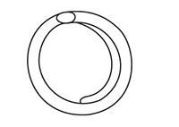 Plastic Spiral Ring - 2